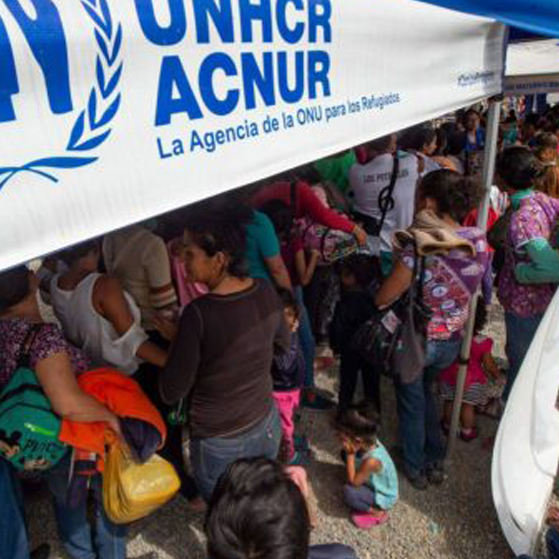 ACNUR. Acceso a servicios de atención psicosocial para personas supervivientes de Violencia Basada en Género (VBG) y de salud mental en Colombia